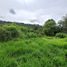  Land for sale in Patzcuaro, Michoacan, Patzcuaro