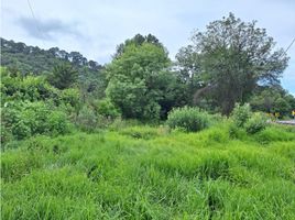  Land for sale in Patzcuaro, Michoacan, Patzcuaro