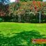  Terreno (Parcela) en venta en Cuajimalpa De Morelos, Ciudad de México, Cuajimalpa De Morelos