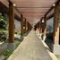  Land for sale in Carmen, Campeche, Carmen, Campeche