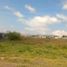  Land for rent in Morelia, Michoacan, Morelia, Michoacan