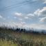  Land for rent in Morelia, Michoacan, Morelia, Michoacan