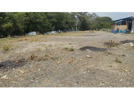  Land for sale in Candelaria, Valle Del Cauca, Candelaria