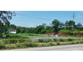  Land for rent in Barrio Balboa, La Chorrera, Barrio Balboa