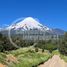  Terreno (Parcela) en venta en Puerto Varas, Llanquihue, Puerto Varas