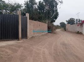  Terreno (Parcela) en venta en Mala, Lima, Mala, Cañete