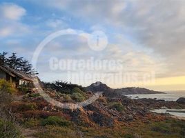  Grundstück zu verkaufen in Choapa, Coquimbo, Los Vilos