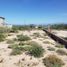  Grundstück zu verkaufen in La Paz, Baja California Sur, La Paz
