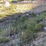  Terreno (Parcela) en venta en Baja California Sur, La Paz, Baja California Sur