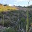  Terreno (Parcela) en venta en Baja California Sur, La Paz, Baja California Sur