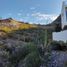  Terreno (Parcela) en venta en Baja California Sur, La Paz, Baja California Sur