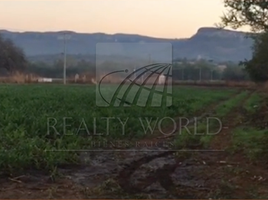  Terreno (Parcela) en venta en Suchiapa, Chiapas, Suchiapa