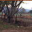 Terreno (Parcela) en venta en Suchiapa, Chiapas, Suchiapa