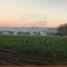  Terreno (Parcela) en venta en Suchiapa, Chiapas, Suchiapa