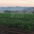  Terreno (Parcela) en venta en Suchiapa, Chiapas, Suchiapa