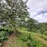 Terrain à vendre à Pereira, Risaralda, Pereira, Risaralda, Colombie