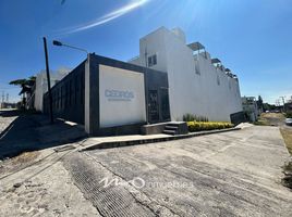 Maison 3 chambre à vendre à Temixco, Morelos, Temixco