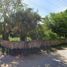  Land for sale in Tekax, Yucatan, Tekax