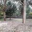  Land for sale in Villa Gesell, Buenos Aires, Villa Gesell