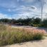  Land for sale in Huimilpan, Queretaro, Huimilpan, Queretaro