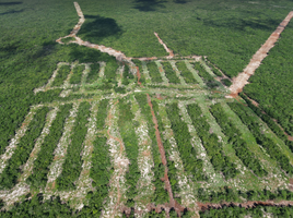  Land for sale in Tixkokob, Yucatan, Tixkokob