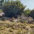  Land for sale in Tlayacapan, Morelos, Tlayacapan