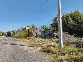  Land for sale in Tlayacapan, Morelos, Tlayacapan
