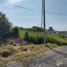  Land for sale in Tlayacapan, Morelos, Tlayacapan