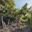  Land for sale in Tlayacapan, Morelos, Tlayacapan