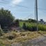  Land for sale in Tlayacapan, Morelos, Tlayacapan