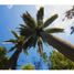  Land for sale in Olmue, Valparaiso, Olmue