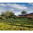  Land for sale in Pitrufquen, Araucania, Pitrufquen