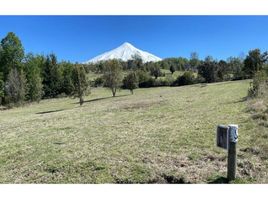  Grundstück zu verkaufen in Cautin, Araucania, Pucon