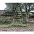  Land for sale in Villarrica, Araucania, Villarrica, Cautin, Araucania