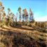  Land for sale in Chile, Villarrica, Cautin, Araucania, Chile