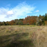  Land for sale in Chile, Villarrica, Cautin, Araucania, Chile