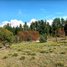  Land for sale in Chile, Villarrica, Cautin, Araucania, Chile