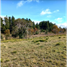  Land for sale in Chile, Villarrica, Cautin, Araucania, Chile