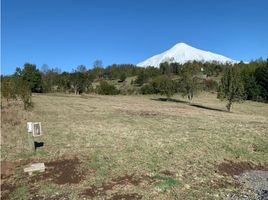  Grundstück zu verkaufen in Cautin, Araucania, Pucon