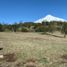  Grundstück zu verkaufen in Cautin, Araucania, Pucon