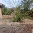 2 Habitación Casa en venta en Compostela, Nayarit, Compostela, Nayarit