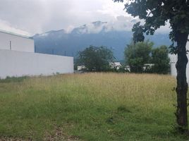 Terrain à vendre à Monterrey, Nuevo Leon, Monterrey