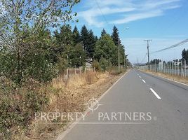  Land for sale in Malleco, Araucania, Victoria, Malleco