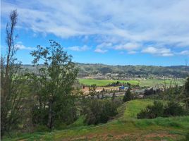  Terreno (Parcela) en venta en Chile, Casa Blanca, Valparaíso, Valparaíso, Chile