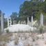  Land for sale in Galeana, Nuevo Leon, Galeana