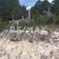  Land for sale in Galeana, Nuevo Leon, Galeana