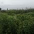  Land for sale in Atenco, Mexico, Atenco