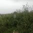  Land for sale in Atenco, Mexico, Atenco