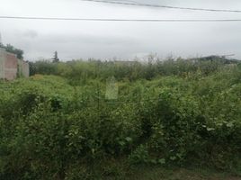  Land for sale in Atenco, Mexico, Atenco