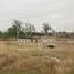  Land for sale in Reynosa, Tamaulipas, Reynosa